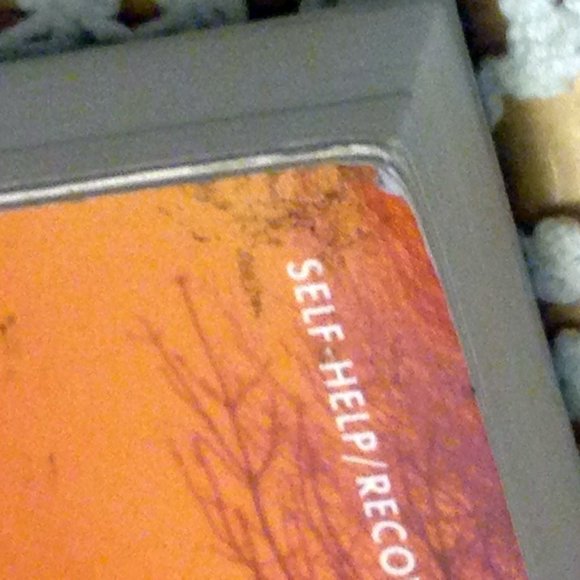 3 for $10 book sale! Addiction Recovery, Out of the Woods - Picture 6 of 10